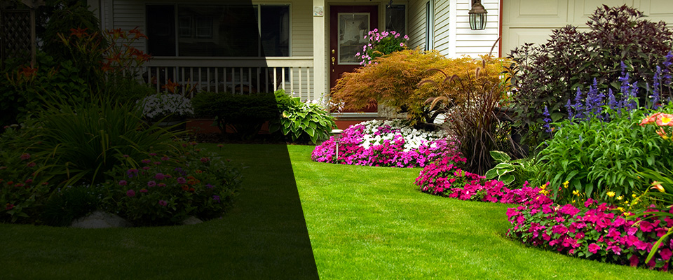 Carson Landscapers