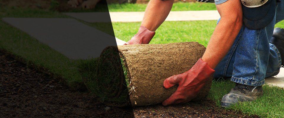 Carson Landscapers